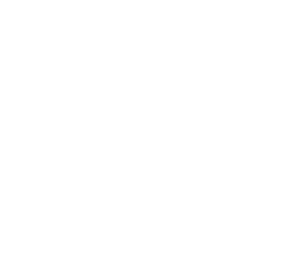 IT Services logo